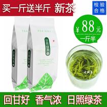 2021 Rizhao green tea new tea spring tea first class Shandong tea green tea Alpine fried green 500g gift box bag