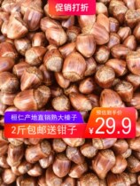 2021 new original home-fried nuts thin-skinned big hazelnut gift clip Northeast Liaoning Huanren specialty