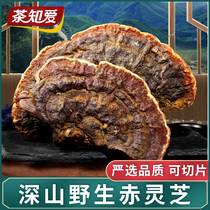 Wild Ganoderma lucidum large pieces of pruned Red Sliced Ganoderma lucidum Yunnan non-Changbai Mountain can be sliced Ganoderma chip 250g