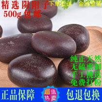 Yin Yangzi Tibet Natural Chinese Medicinal Materials 500g Muzhuizi Kidney Tree Treasure has Fengliu Fruit Double Kidney