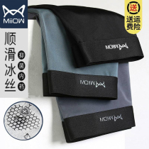 Cat Human Pants Men Summer Graphene Antibacterial Ice Silk Light Thin Breathable Flat Corner Youth Shorts Head