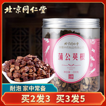 Beijing Tongrentang dandelion root tea 200g dandelion tea Changbai Mountain Pugongying tea