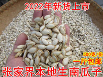 Zhangjiajie old variety of raw pumpkin seeds new goods