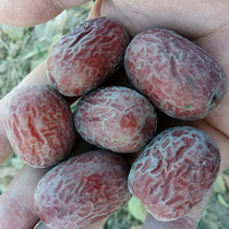 20-year-old new jujube special 5 kg Xinjiang gray jujube uncleaned Ruoqiang gray jujube natural hanging dry red jujube specialty snacks