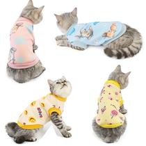 Cat clothes autumn and winter new milk silk sweater pet English short blue cat kitten cute winter warm cotton coat