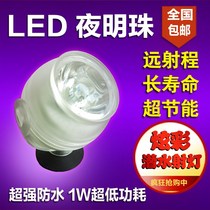 LED dragon fish light special fish tank night light fish tank diving light aquarium waterproof lighting aquatic grass light