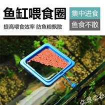 Fish tank feeder fish feeding ring Small fish guppies floaters floating fish food feed feeding ring