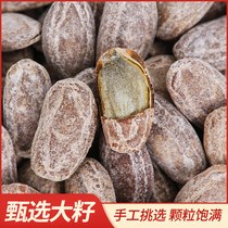 Authentic Changxing hanging melon seeds 500g large seeds extra large granules cream flavor new goods flagship store non-caralpium seed original flavor