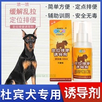 Dubin special training Targeted Bowels Pets Pee pooch Induced Doses of Toilet Fluid Diuretic Diuretic Agents