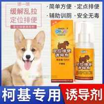 Koji special positioning urine and urine fixed-point dog inducer toilet fluid catheter pet inducer poop