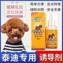 Teddy special dogs Pet Inducers for Toilet Fluid Guided Urine agents Targeted Pull Poop Loci to locate Divine Instrumental
