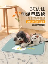 Pet Electric Blanket Small Heating Mat Cat With Kitty Warmer Pooch Thermostatic Electric Bedding Insulated Fever Waterproof