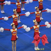 Custom cheerleading competition costumes cheerleading performance costumes competitive aerobics costumes dance uniforms 19 new female men