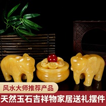 Natural jade elephant ornaments a pair of Feng Shui Town home living room porch wine cabinet decorations water absorption