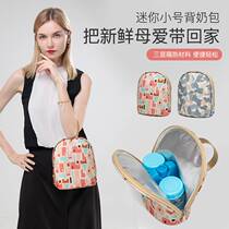 Back milk bag breast milk insulation bag equipment refrigerated to work Portable Mini small bottle set blue ice milk storage ice bag