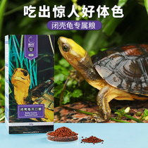 Breeding yellow turtle food Small turtle feed Young turtle food Safety edge high calcium hair color special closed-shell turtle semi-water turtle turtle food