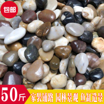 50 50 catty pebbles paved ground patio garden building scenery natural size stones rain flower stone raw stone goose soft warm stone