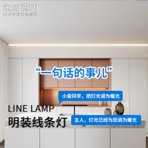 Traditional and simple light living room background wall aluminum groove light strip corridor aisle hidden back light long linear light bar