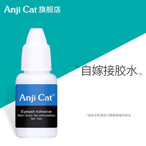 anjicat himself grafting eyelash glue persistent and unspicy eyes without irritating eyelashes