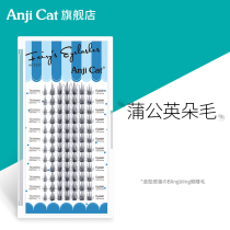 anjicat dandelion Dairy net red Sectional Single Cluster Individual Graft False Eyelash Mix