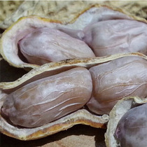 Min Dallang Longyan peanuts with shell boiled white salt salted dry Peanuts 500g bagged snacks nuts specialty snacks