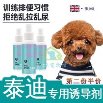 Teddy special training to guide small dogs positioning inducers to relieve themselves such as toilets chaotic urinals and defecation
