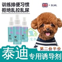 Teddy special training to guide small dogs positioning inducers to relieve themselves such as toilets chaotic urinals and defecation