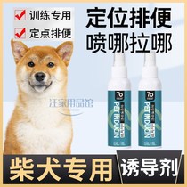 Firewood Dogs Special Pinpoint Indoor Mess of Crap Urine Dog Inducers Bowels to Toilet Guide Liquid God Instrumental Supplies