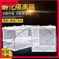 Fish tank isolation box dense net breeding and hatching multifunctional cloth fine suspended Peacock fighting fish fence with partition