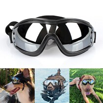 Pet glasses dog supplies goggles windproof sunglasses Golden Labrador outdoor sun glasses