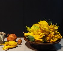 (With branches hydroponic bergamot yellow fruit) Jinhua bergamot fresh ornamental smell fragrant water supply to raise flowers