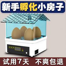Cole duck incubator duck egg special ducklings pet chicken goose egg rutin chicken quail Cole duck incubator