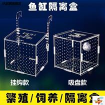 Guppies breeding box large incubator fish tank hatching isolation box multifunctional juvenile Fry net fighting fish hatching