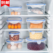 Refrigerator special dumpling box plastic egg crisper lunch bowl microwave oven heated lunch box storage box sealed box