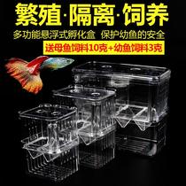 Guppies breeding box fish tank isolation box tropical fish small fish juvenile fish incubator box extra large small small production box