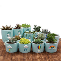 Weather creative fleshy flower pot Ceramic pot Indoor green plant small special price Simple cactus flower pot plant meat