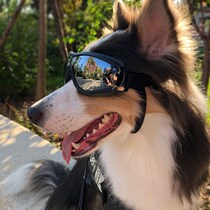 Pet Sunglasses Farfight Kirky Kitty Cat Glasses Pooch Sunglasses Teddy Baggies To Blame for Photographed Props