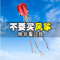 Kite children large high-grade breeze easy fly 202021 new three-dimensional giant long tail Octopus software kite