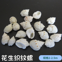 New natural conch shell peanut woven snail hermit crab scallop crab fish replacement box aquarium landscape decoration