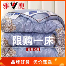 Yose Zhengzong silk quilt 100 mulberry silk Spring and autumn quilt cotton quilted by core thickened winter quilted by single double 10 catty