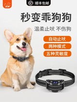 Anti-dog called spoiler automatic stop bark-stopper big small dog to prevent dog chaos called shock item ring training dog deity