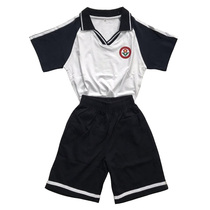 Primary School students Loudi three small summer suit suit Hunan short skirt third shorts school uniform Loudi City Hunan