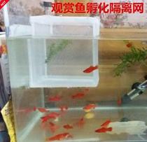 Favored tropical fish hatchery fish tank isolation net Fish tank Aquarium incubator small cub production box Small fish breeding box