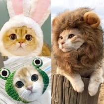 Cat wig Cat Funny Headgear Lion King Hat English Short Garfield Cat Small Ear Headwear Jewelry