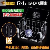 Fish tank isolation box Mini parrot fish breeding isolation box Female fish breeding isolation box Incubation box Fry breeding box