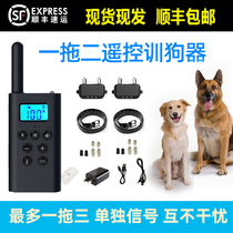 One drag two remote control dog instrumental suit Anti-dog bark-stopper Shock Item Ring Large Small Dog Charging Trainer
