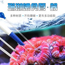 Coral Feeding Oesophageal Fish Tank Feeding Tool Straws Button Coral Feeding Tool Pacifier Feeding Oesophageal Brain Coral