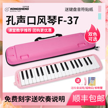 Hole Sound 37 Keyhole organ primary and secondary school Children beginner class teaching Special adult playing class Exercise instruments