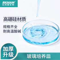 Xiangbo Laboratory Glass Culture Dish With Cover Cell Bacteria Culture Dish High Boron Silicon High Temperature Resistant Thickened Subsection Bio Petri Laboratory Glassware 75 90100120150m m