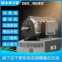 Dedong YE2 national standard horizontal three-phase asynchronous motor 0 75-45KW-2 pole-380V) Ten thousand future homes